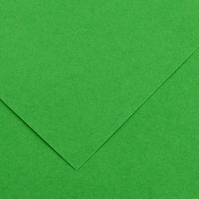 Cartoncino Colorato Colorline Canson - 70x100 cm - 220 g - 200041215 (Verde Bril