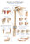 Anatomische Lehrtafel Schulter und Ellenbogen Erlerzimmer 70 x 100 cm Kunststoff-Folie mit Metallbeleistung (1 Stück), Detailansicht