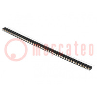 Socket; pin strips; female; PIN: 40; turned contacts; straight