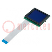 Display: LCD; grafico; 128x128; STN Negative; azzurro; LED; PIN: 20