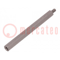 Screwed spacer sleeve; 60mm; Int.thread: M3; Ext.thread: M3