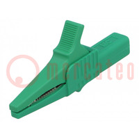 Pince à crocodile; 32A; 1kVDC; vert; Ampl.d'attache: max.20mm