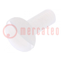 Screw; M4x12; 0.7; Head: countersunk; slotted; 1,3mm; polyamide