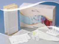 Chlamydia Test - Rapid test - Sample: Endocervical Swab/Urethral Swab/Urine - 20 Individually Packed Tests Cassettes