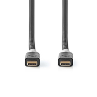 Nedis CCBW64020AT20 USB-kabel 2 m USB4 Gen 2x2 USB C Zwart, Zilver