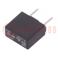 Fuse: fuse; time-lag; 2.5A; 250VAC; 63VDC; 8.4x4x7.8mm; RSTA; bag