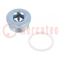 Protection cap; zinc plated steel; Thread: G 1"; Gasket: PVC