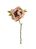 Artificial Dried Touch Open Peony - 48cm, Nude/Pink
