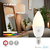 Nedis SmartLife Full Colour LED-lamp Wit 6500 K E14 F