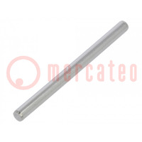 Cilindrische pen; roestvrij staal A2; BN 684; Ø: 3mm; L: 40mm