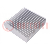 Heatsink: extruded; grilled; natural; L: 150mm; W: 160mm; H: 40mm