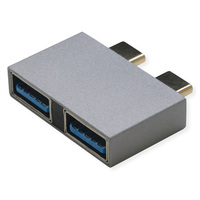 ROLINE Adaptateur USB 3.2 Gen 2, 2x USB Type C - 2x USB Type A, M/F, argent
