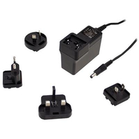 MEAN WELL GEM60I24-P1J power adapter/inverter 60 W