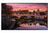 Samsung QB55R Digital Signage Flachbildschirm 139,7 cm (55") LED WLAN 350 cd/m² 4K Ultra HD Schwarz Tizen 4.0 16/7