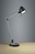 TRIO Rado Tischleuchte 5 W LED