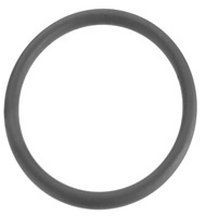 O-Ring fürWT-Excenterstopfür33x3 (1)