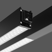 RZB Linedo Deckenbeleuchtung LED C