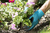Gardena 207-20 guante de limpieza Azul, Gris Unisex L