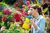 GLORIA Hobby 100 Hand garden sprayer 1.3 L