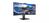 Philips P Line 346P1CRH 34 Inch Ultra Wide Quad HD 3440 x 1440 Pixels 100Hz Refresh Rate USB C LED Monitor