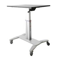 MOBILE SIT STAND WORKSTATION