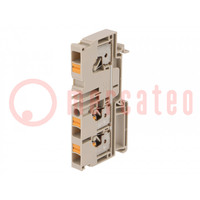 Splice terminal: rail; 6mm2; ways: 1; terminals: 3; beige; wemid