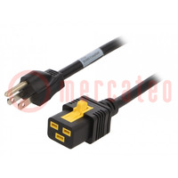 Cable; 3x14AWG; IEC C19 female,NEMA 5-15 (B) plug; PVC; 2m; black