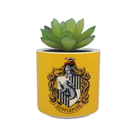 HARRY POTTER MACETA, GRES, AMARILLO, 150 ML