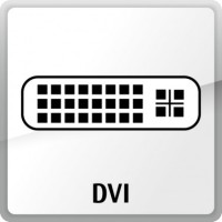 Display Port zu DVI-D Adapterkabel