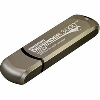Kanguru Defender 3000 USB-Stick 256 GB USB Typ-C 3.2 Gen 1 (3.1 Gen 1) Grau