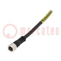 Conector: M8; hembra; PIN: 3; recto; con cables; enchufe; 3A; IP67