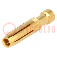Contact; female; copper alloy; gold-plated; 2.5mm2; 14AWG; crimped
