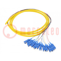 Optic fiber pigtail; SC/UPC,fiber; 2m; Input: fiber x12