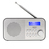 Camry Premium CR 1179 radio Przenośny Analogowe i cyfrowe Czarny, Srebrny
