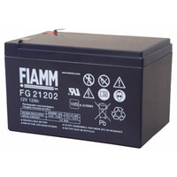Fiamm FG21202 portare 12V 12Ah batteria acida