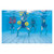 BECO Aqua-Disc SZ Aquafitness Aquagymnastik Powerfitness Auftriebshilfe, 2 Stk, Grün
