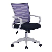 Mesh chair with lumbar support