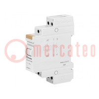 Relay: installation; monostable; NO x2; Ucoil: 12VAC; 20A; -40÷40°C