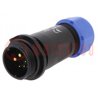 Plug; SP21; male; PIN: 5(2+3); IP68; 7÷12mm; 5A,30A; soldering; 500V