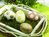 Eier bemalen – leicht gemacht