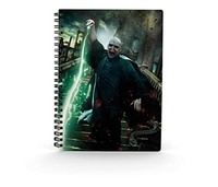 SD TOYS HARRY POTTER - CAHIER EFFET 3D VOLDEMORT POSTER SD-SDTWRN25080