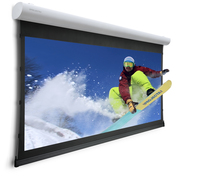 Da-Lite Tensioned Elpro Concept RF HD projection screen 3.33 m (131") 16:9