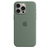 Apple Custodia MagSafe in silicone per iPhone 15 Pro Max - Cipresso