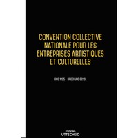 Convention Collective Nationale Entreprises Artistiques et Culturelles