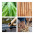 Relaxdays Pflanzstäbe Bambus 40er Set, 120 cm, Rankhilfe für Pflanzen, 10-12 mm Ø, Garten & Deko, Bambusstangen, natur