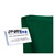 Lendenkissen mit Bezug und Gurt Sitzkissen Rückenkissen für Büro und Auto, Grün