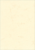 Dokumentenpapier (Elefantenhautpapier), 190g/m², weiß, DIN A4