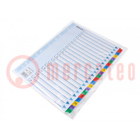 File dividers numbered; Marking: 1-20