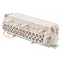 Connector: HDC; contact insert; female; C146,heavy|mate; PIN: 24