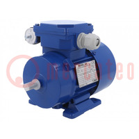 Motor: AC; 1-phase; 0.18kW; 230VAC; 2830rpm; 0.61Nm; IP54; 1.5A; arms